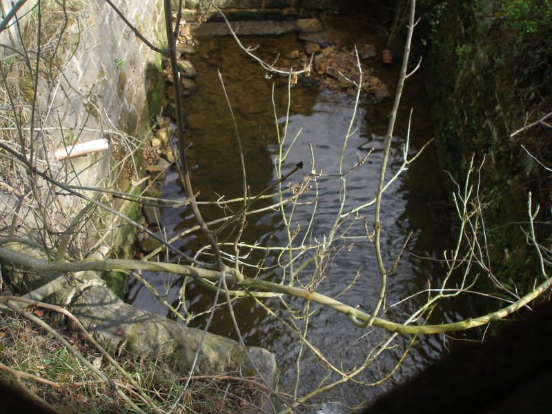 Walsden Footbridge (Bridge 98) surveyed on Friday 25 March 2016.