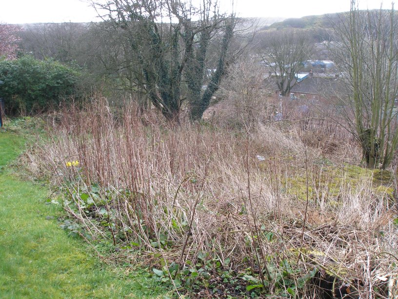 Modern day access to the original alignment of Hall Royd Road