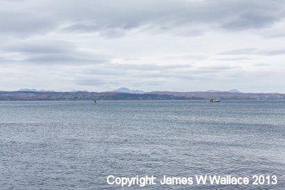 Fort William - Mallaig railway views - 2