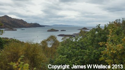 Fort William - Mallaig railway views - 3