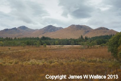 Fort William - Mallaig railway views - 4