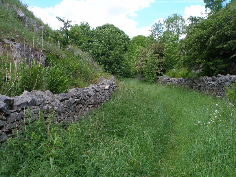 Occupation Crossing and approach cutting on the Tissington Trail