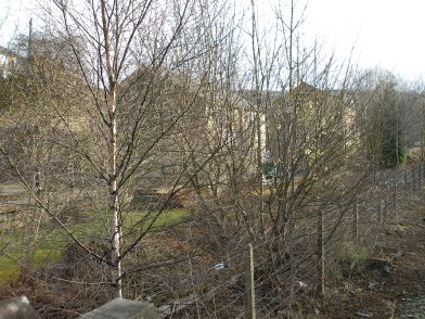 Todmorden Railway Station: eastwards Old goods shed platform behind Platform 2 on 19 April 2013