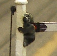 Working backlighter affixed to original Hornby Dublo signal